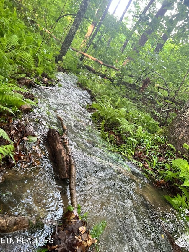 view of nature