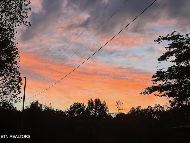 view of nature at dusk