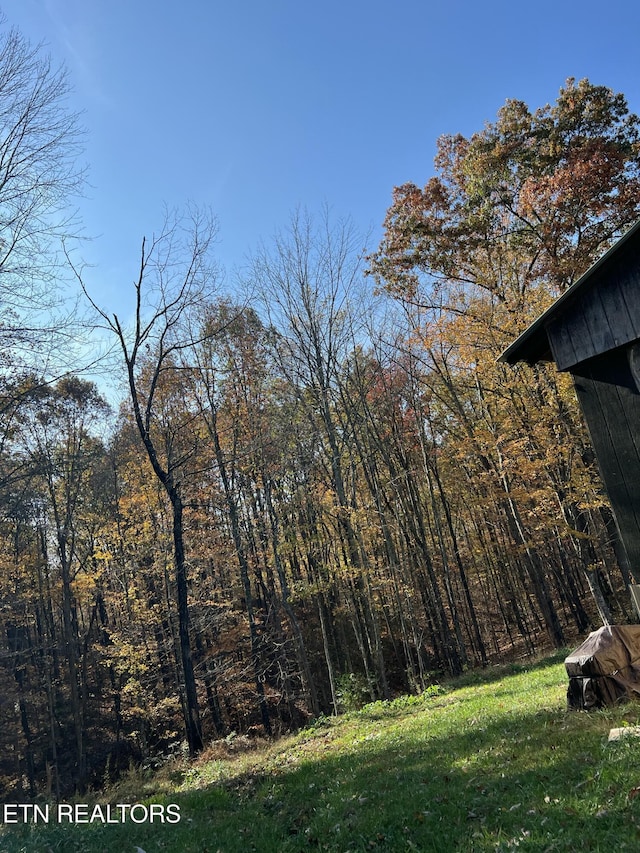 view of yard with a forest view