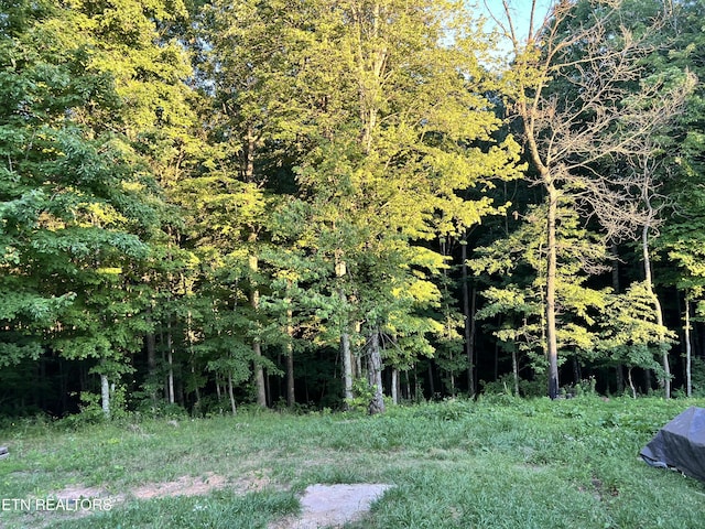 view of landscape with a forest view