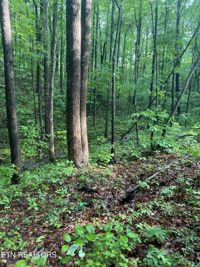 view of nature featuring a view of trees