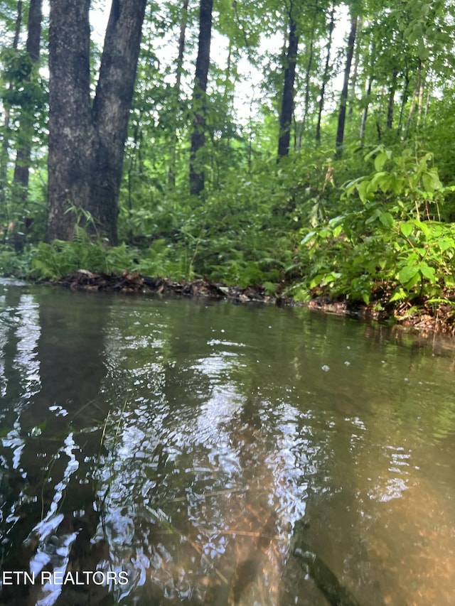 view of water feature