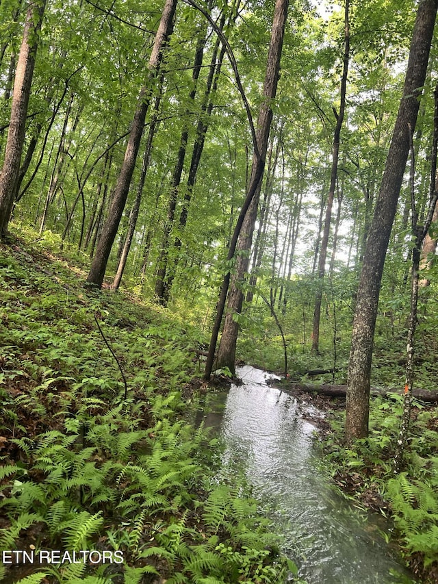 view of water feature with a forest view