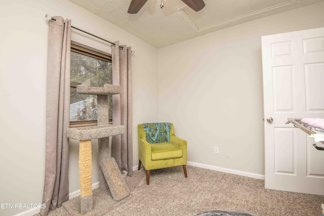 sitting room featuring ceiling fan, carpet, and a textured ceiling