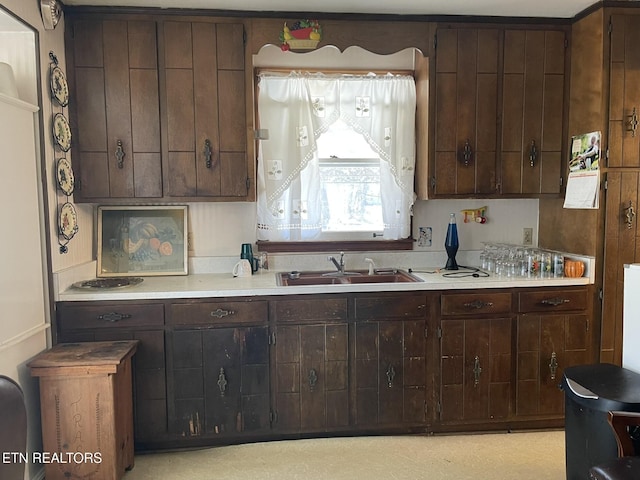 kitchen with sink and dark brown cabinetry