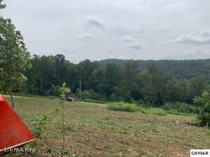 Mountain Way, Sharps Chapel, TN 37866