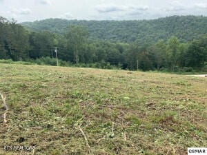 Mountain Way, Sharps Chapel, TN 37866