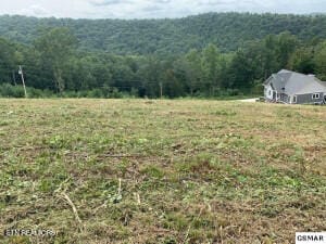 Mountain Way, Sharps Chapel, TN 37866