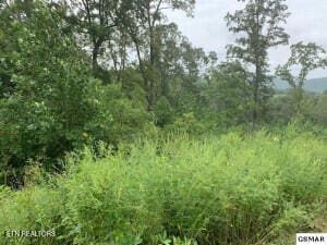Mountain Way, Sharps Chapel, TN 37866