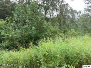 Mountain Way, Sharps Chapel, TN 37866