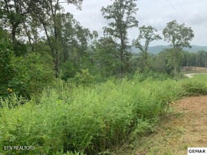Mountain Way, Sharps Chapel, TN 37866