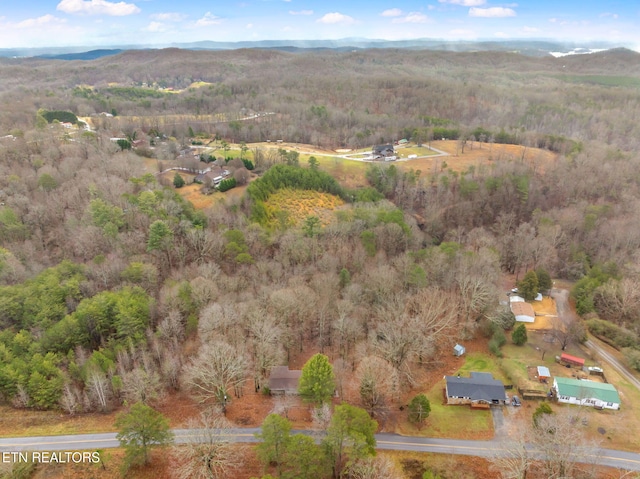 drone / aerial view with a mountain view