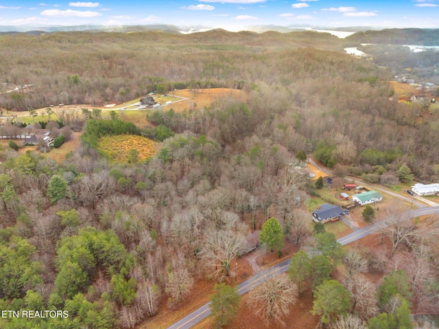 aerial view with a mountain view