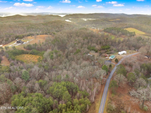 drone / aerial view featuring a mountain view