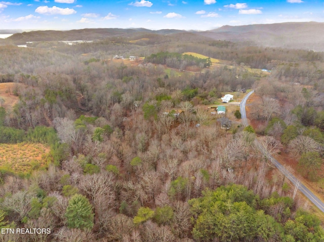 birds eye view of property featuring a mountain view