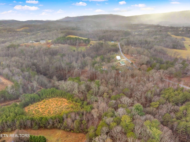 bird's eye view with a mountain view