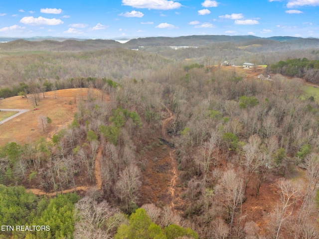 drone / aerial view featuring a mountain view