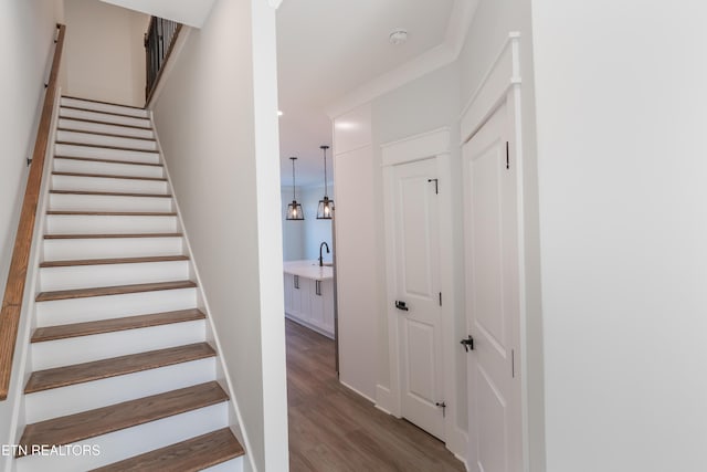 stairway with hardwood / wood-style floors