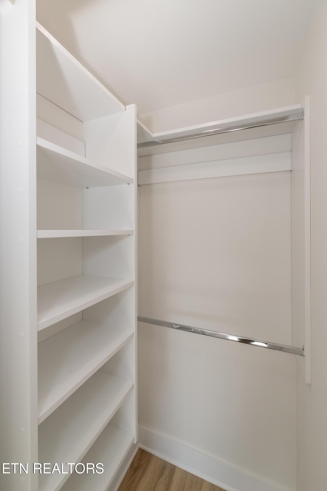 spacious closet featuring light hardwood / wood-style flooring