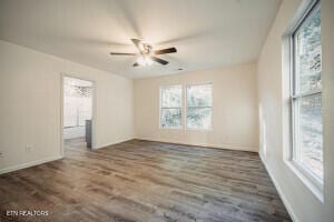 empty room featuring plenty of natural light, ceiling fan, and dark hardwood / wood-style floors