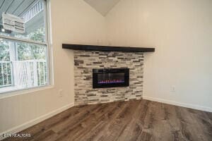 room details featuring hardwood / wood-style floors and a fireplace