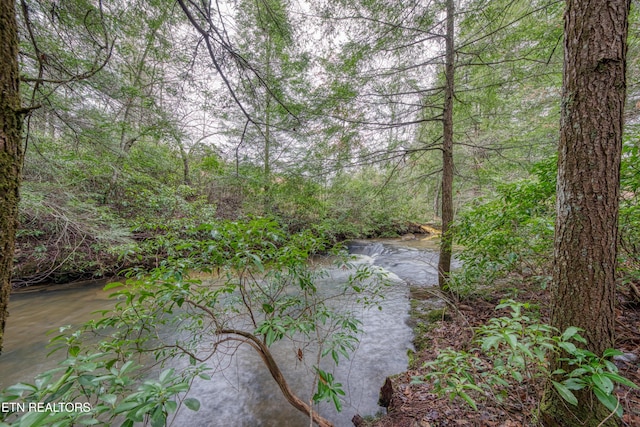 view of nature