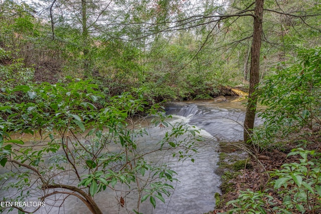 view of nature