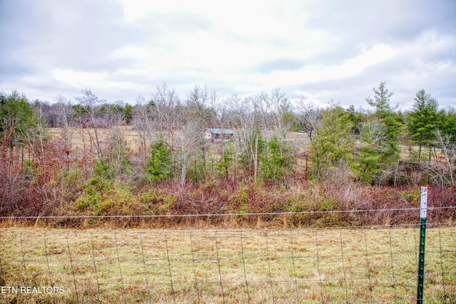 view of yard featuring a rural view