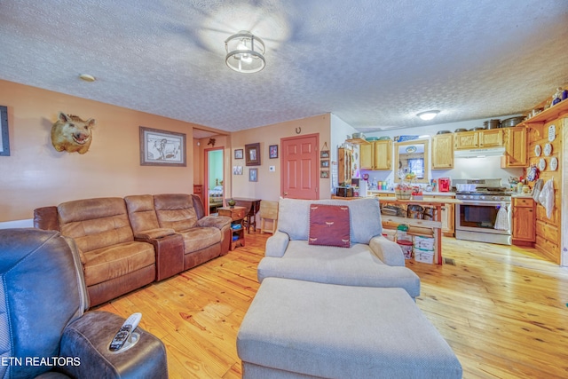 living room featuring light hardwood / wood-style floors and a textured ceiling