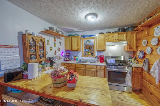 kitchen with a textured ceiling, sink, and stainless steel gas range