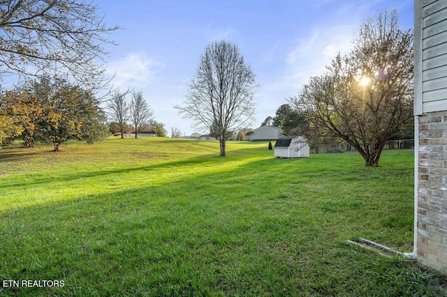 view of yard featuring a shed