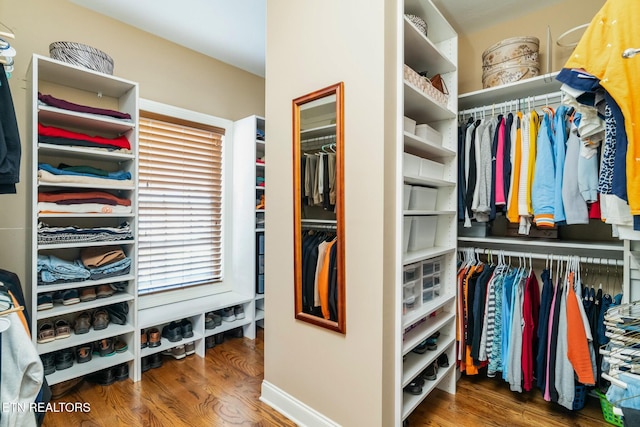 spacious closet with hardwood / wood-style floors