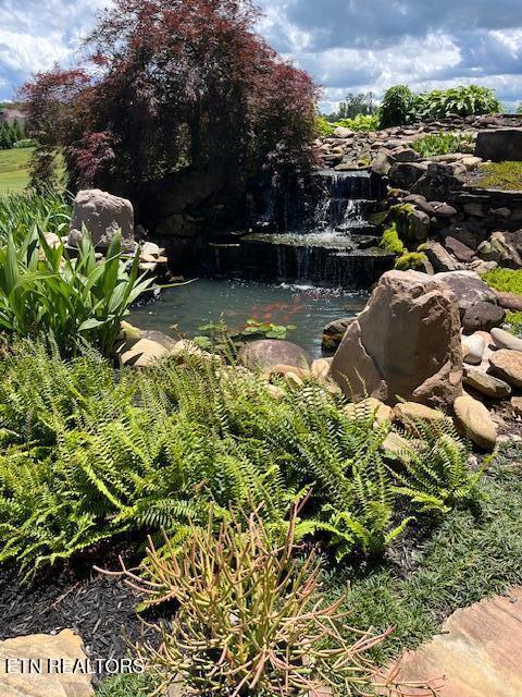227 Starboard Dr, Lenoir City, TN 37772 - view of swimming pool featuring a garden pond