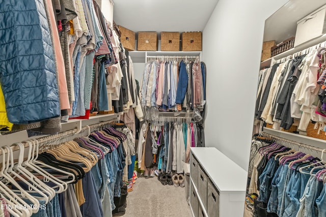 walk in closet with light colored carpet