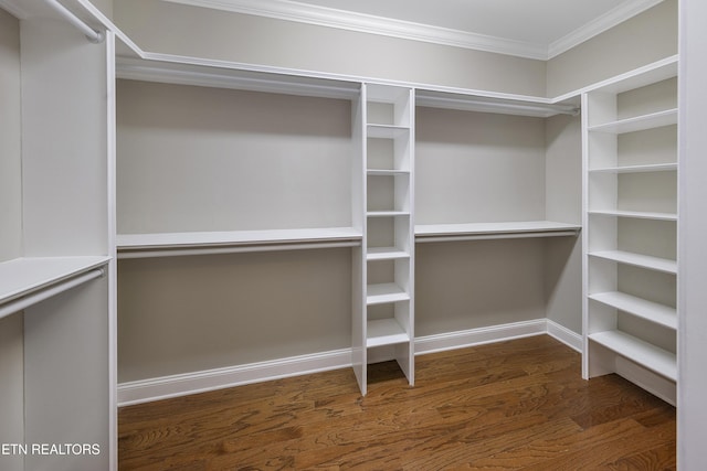 walk in closet with dark hardwood / wood-style floors