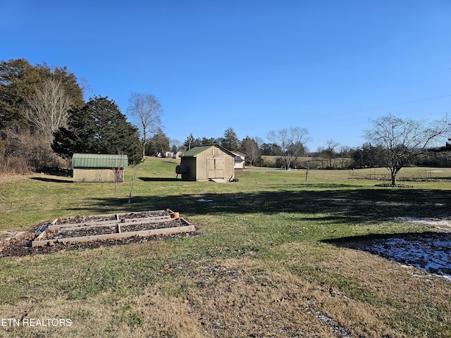 view of yard with a shed