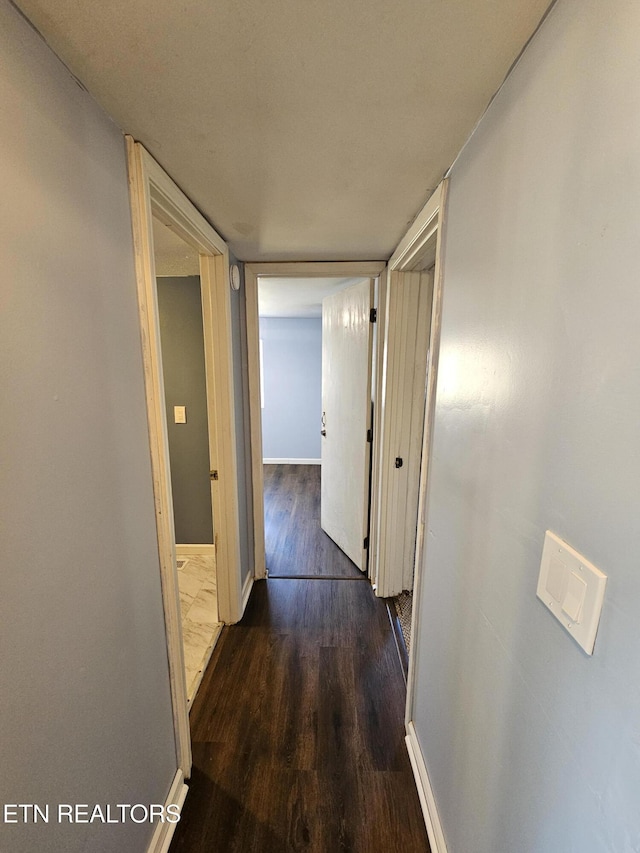 corridor featuring dark hardwood / wood-style flooring