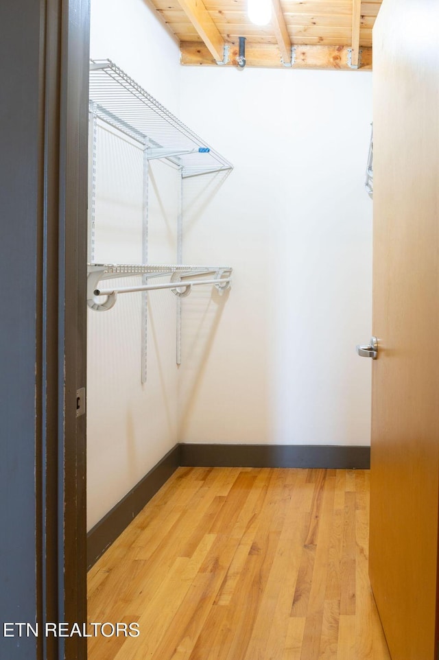 spacious closet featuring wood-type flooring