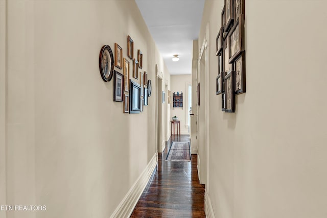 corridor with dark wood-type flooring