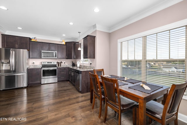 kitchen featuring appliances with stainless steel finishes, ornamental molding, dark brown cabinetry, dark wood-type flooring, and decorative light fixtures