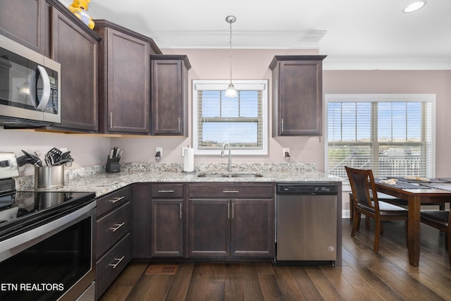 kitchen featuring sink, hanging light fixtures, stainless steel appliances, dark brown cabinets, and ornamental molding