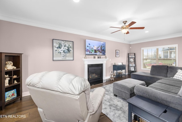 living room with dark hardwood / wood-style floors, ceiling fan, and ornamental molding