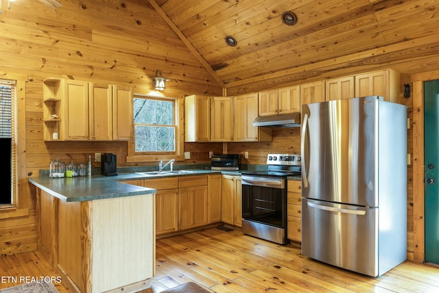 kitchen featuring sink, stainless steel appliances, and light hardwood / wood-style floors