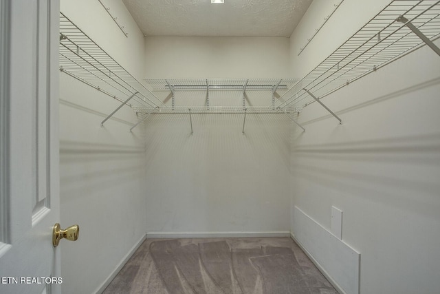 walk in closet with carpet