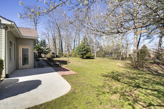 view of yard featuring a patio