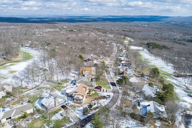 snowy aerial view featuring a mountain view