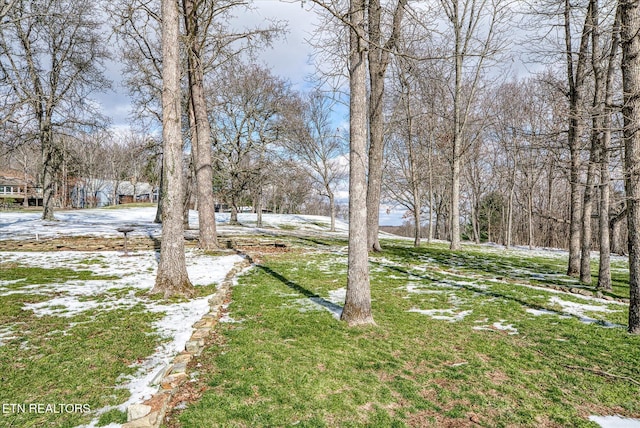 view of snowy yard