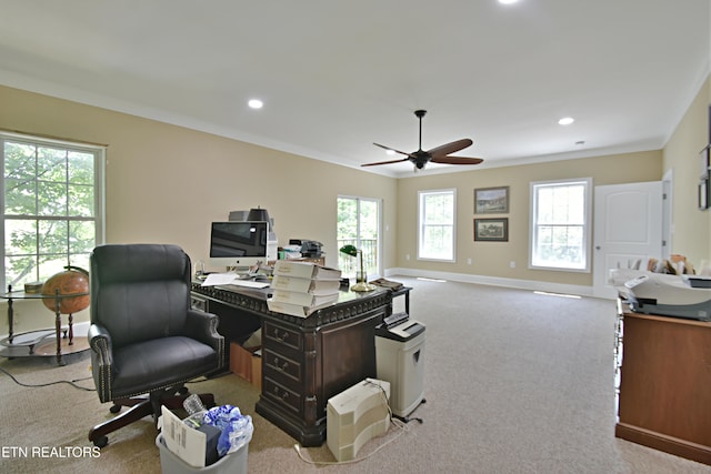 office with light carpet, crown molding, and a healthy amount of sunlight