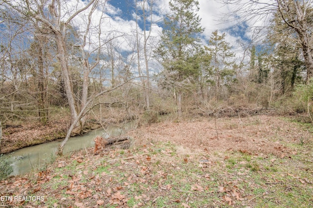 view of local wilderness