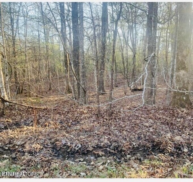 120 Newcastle Ln, Crossville, TN 38555